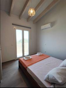 room11
